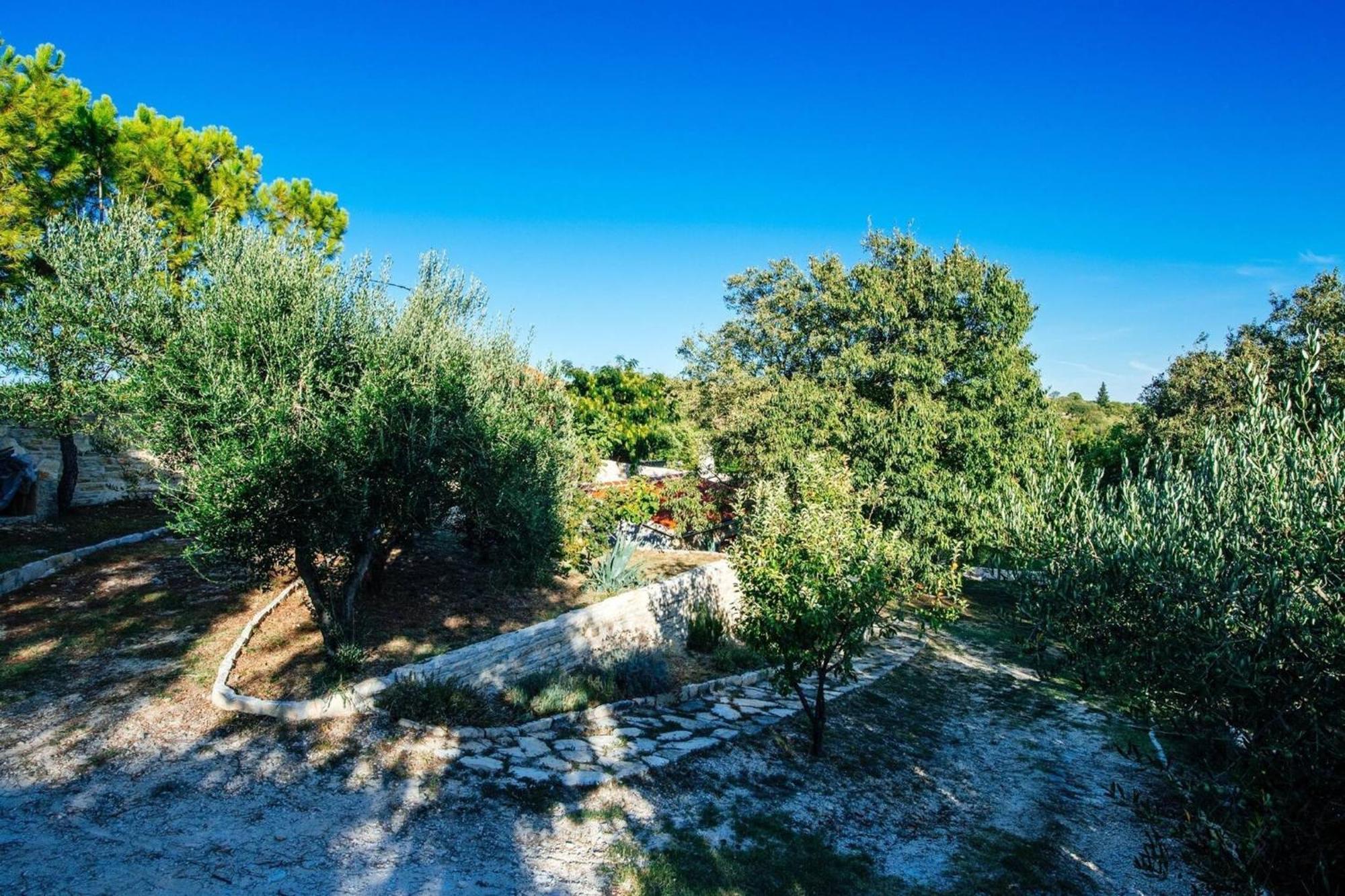 My Dalmatia - Holiday Home Korlat With Private Pool 本科瓦茨 外观 照片